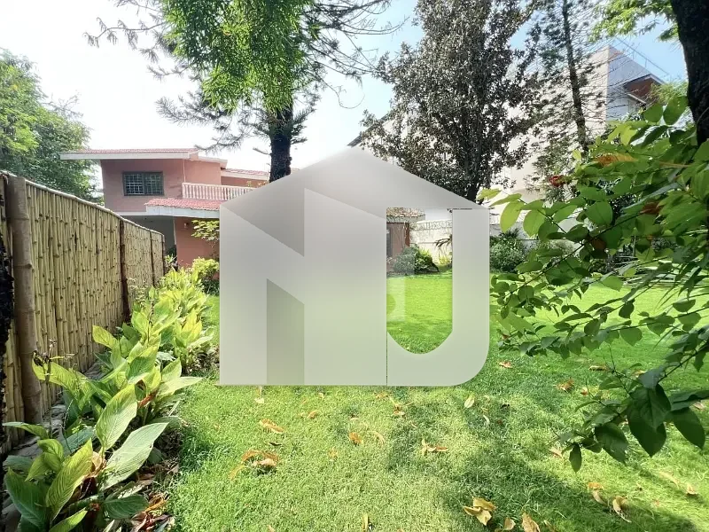 Fully Renovated House For Rent In E7 on prime Location Big Lawn, photo 30