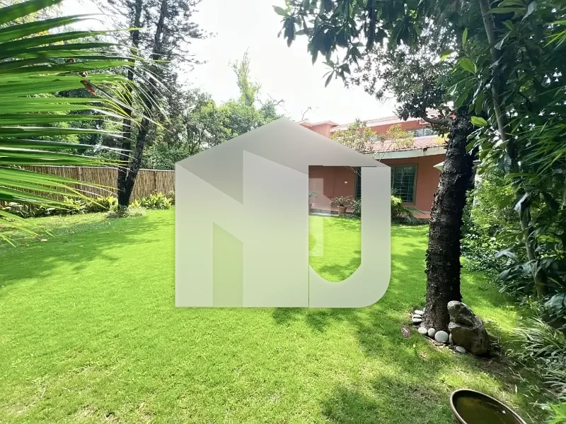 Fully Renovated House For Rent In E7 on prime Location Big Lawn, photo 29