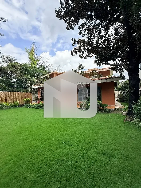 Fully Renovated House For Rent In E7 on prime Location Big Lawn