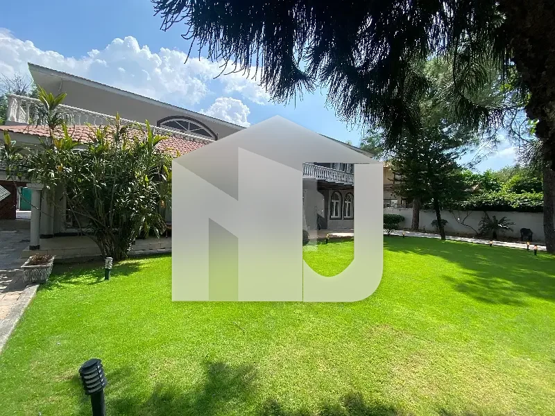 Newly Renovated House Available For Rent, photo 17