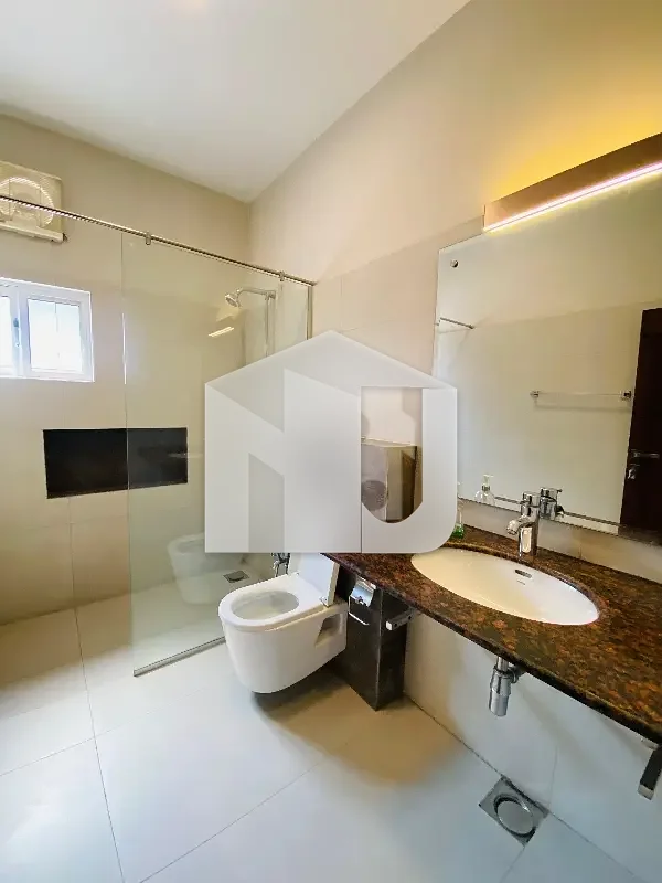 Newly Renovated House Available For Rent, photo 14