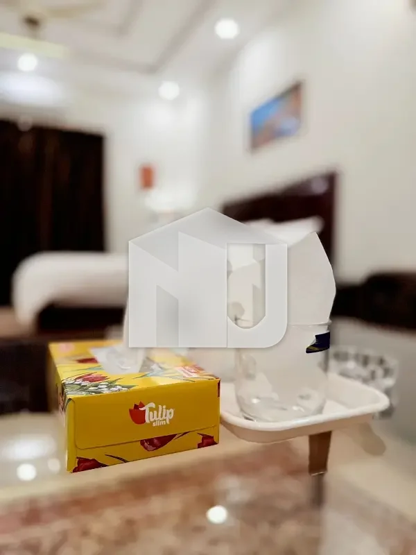 E-11 Fully Furnished House For Rent, photo 7