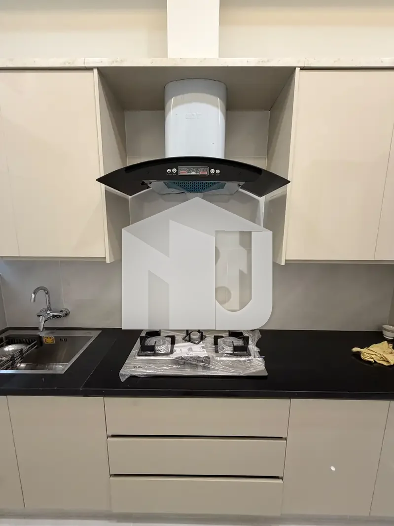 BRAND NEW 1 KANAL PLUS AREA SIZE HOUSE FOR RENT F-10, photo 5