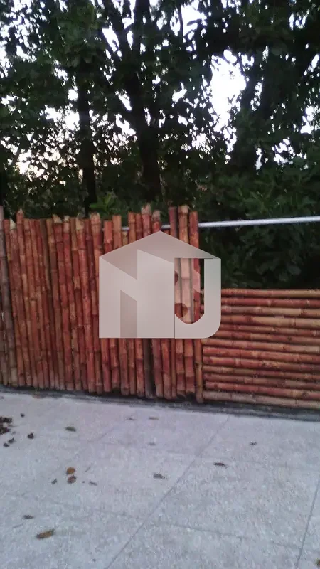 3-Bedroom Corner House With Garden For Rent Islamabad, photo 6