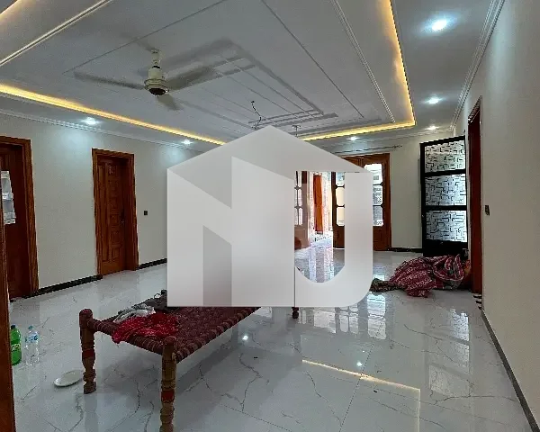 End Your Search For House Here And Rent Now, photo 5