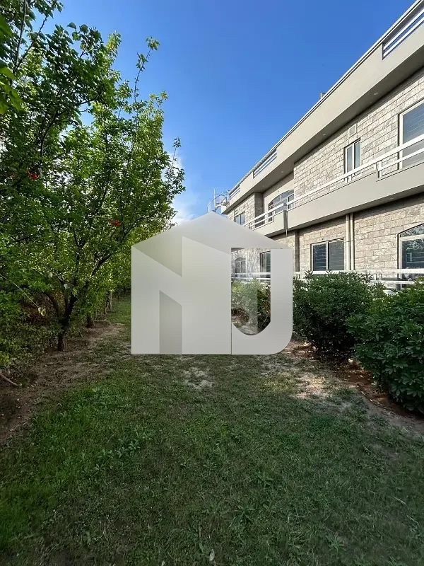 1 Kanal Beautiful Corner House With Lawn Available For Rent, photo 3