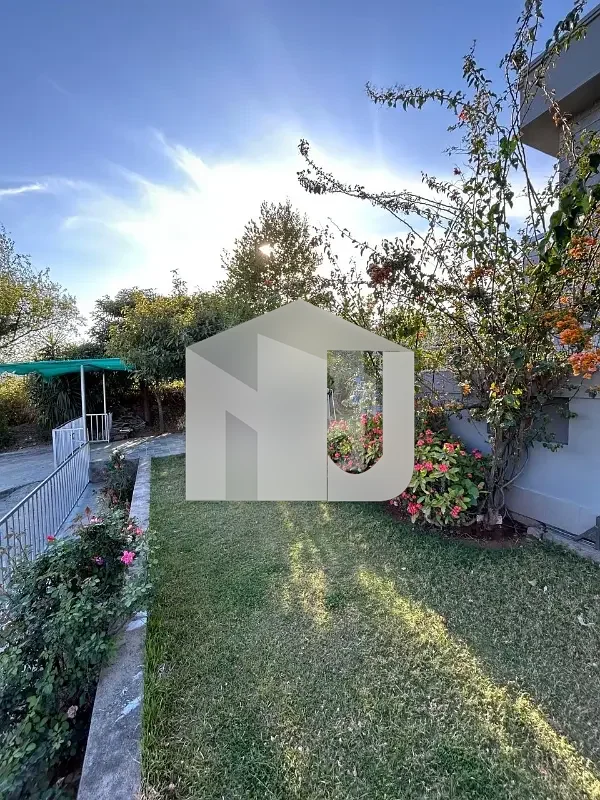 1 Kanal Beautiful Corner House With Lawn Available For Rent, photo 5
