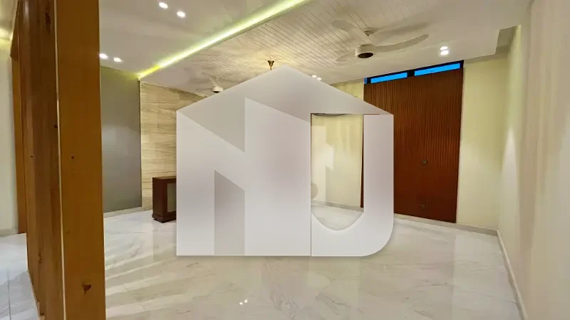 1 Kanal Like Brand New Full House For Rent, photo 3