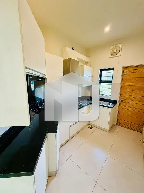 D-12 House Sized 10 Marla For rent, photo 8