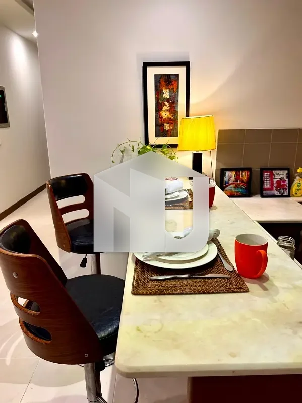 F-8 Fully Furnished House For Rent, photo 4