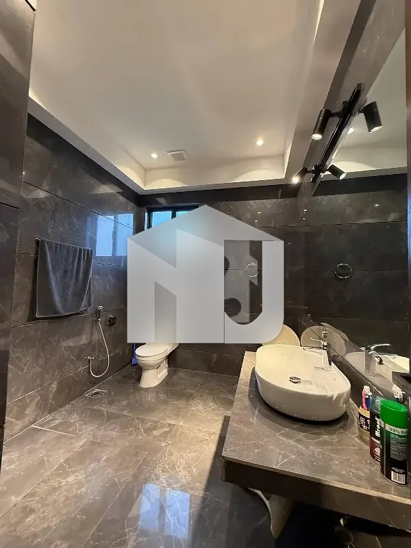 12 Marla Fully Furnished Designer House Available For Rent, photo 10