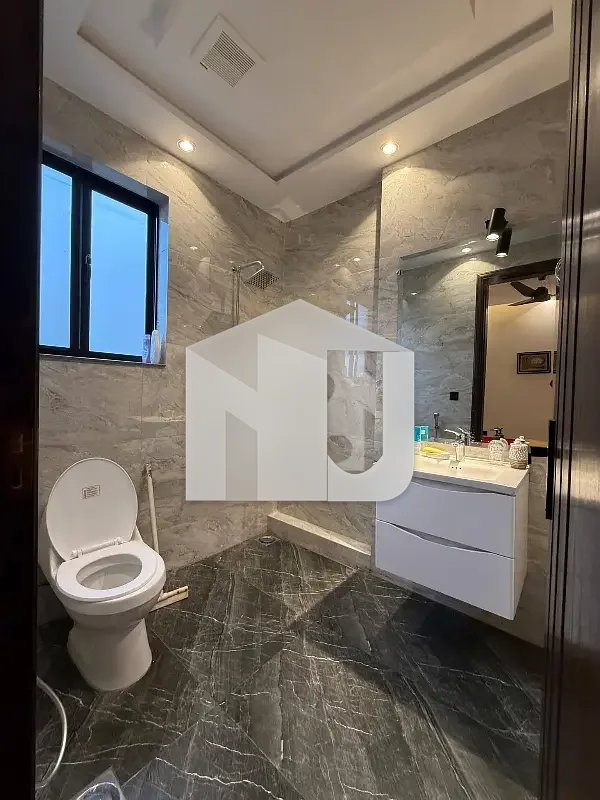 12 Marla Fully Furnished Designer House Available For Rent, photo 5