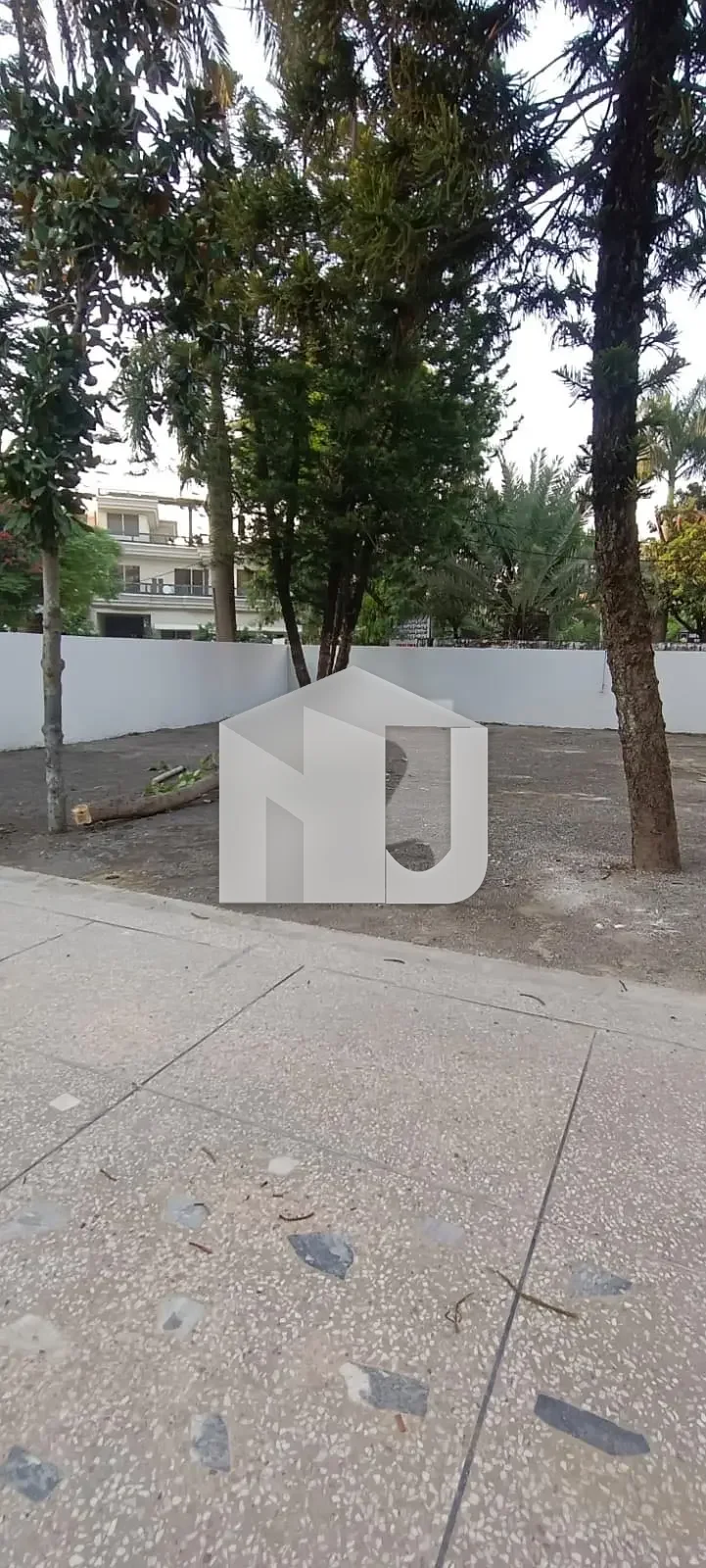 2 Kanal Commercial House For Rent, photo 3