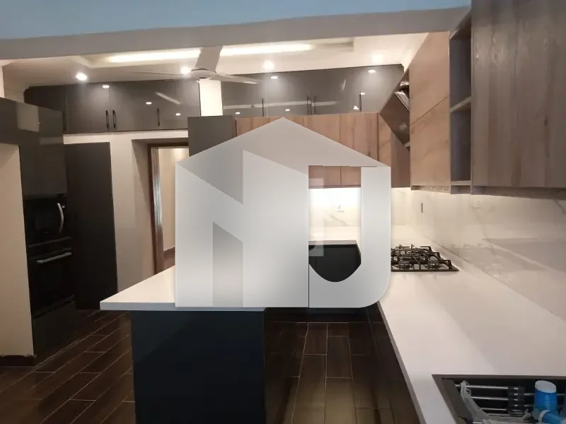 luxury unfurnished newly renovated house for foreigners and diplomats big garden front back, photo 14