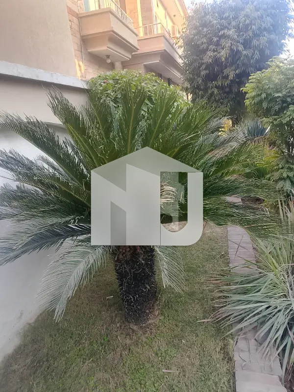 F-11 Beautiful House For Rent, photo 4