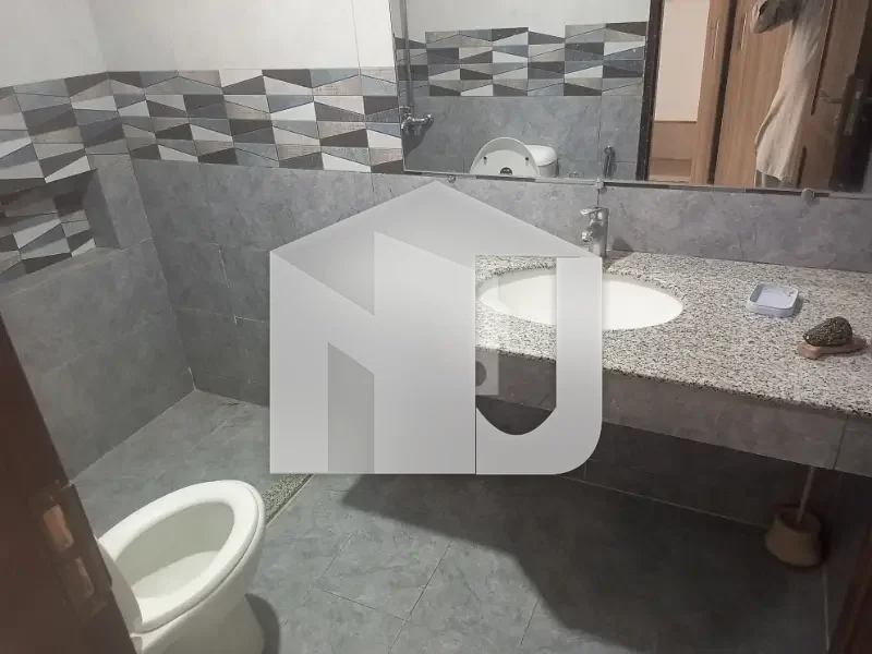 FULL HOUSE AVAILABLE FOR RENT IN D12, photo 10