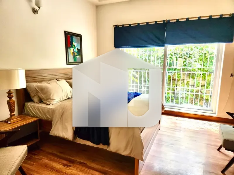 Lavish Furnished House For Rent, photo 4