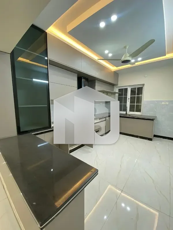 20 Marla ground+ basement For Rent In D 12, photo 3