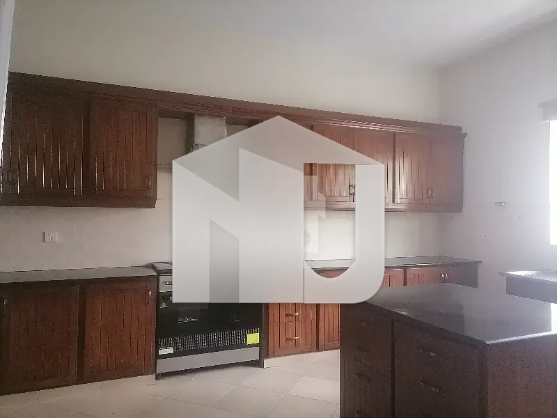 Aesthetic House Of 2 Kanal For rent Is Available, photo 17