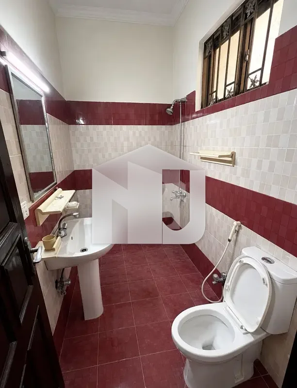 10 Marla Full House For Rent In D 12, photo 8
