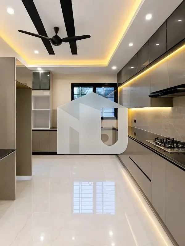 1 kanal Beautifull Designer House For Rent In D Block, photo 6
