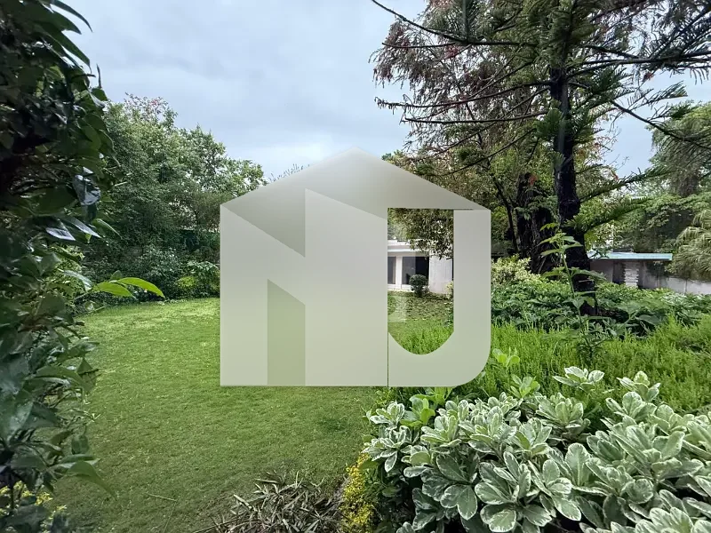 House For Rent, photo 3