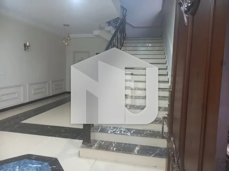 Big Lawn House For Rent, photo 10
