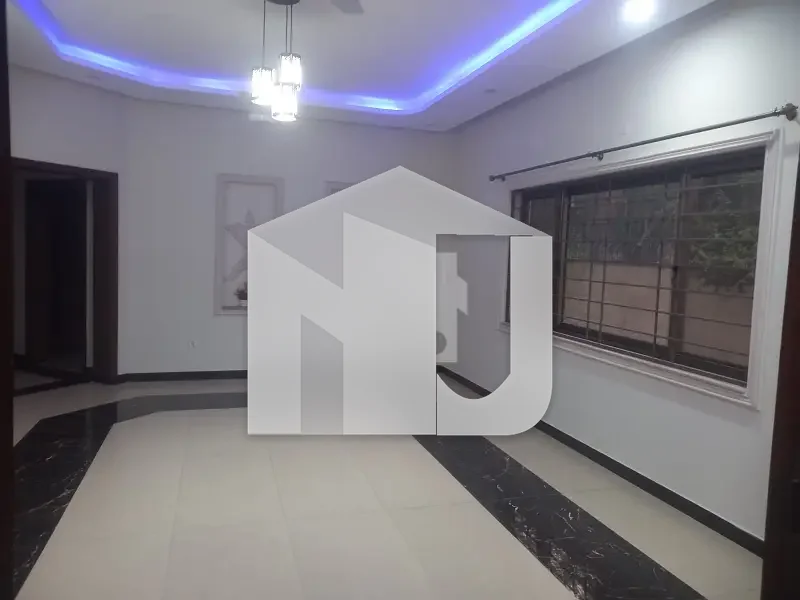 Big Lawn House For Rent, photo 13