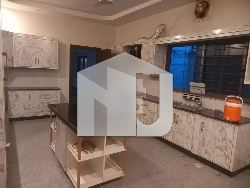 Big Lawn House For Rent, photo 11