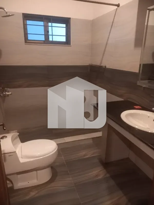 Big Lawn House For Rent, photo 7