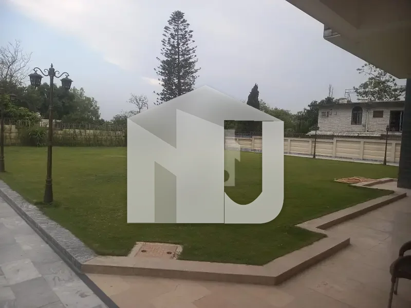 Big Lawn House For Rent