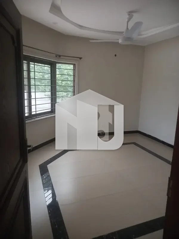 Big Lawn House For Rent, photo 8