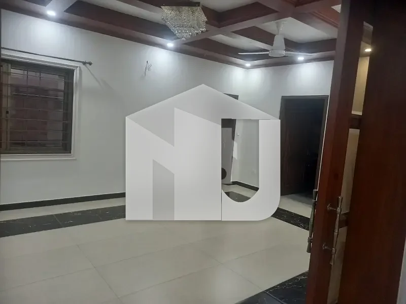 Big Lawn House For Rent, photo 16