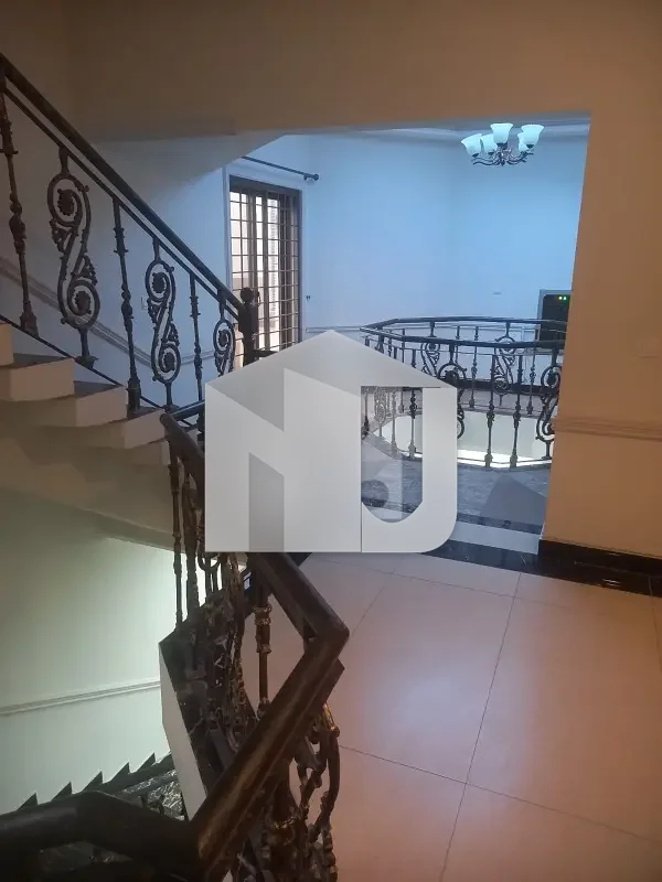 Big Lawn House For Rent, photo 20