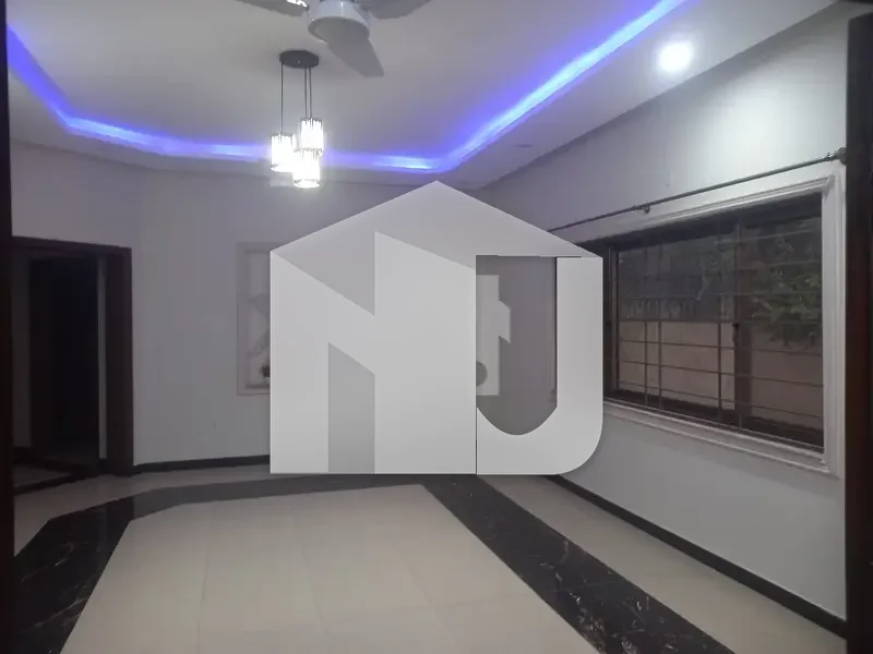 Big Lawn House For Rent, photo 18