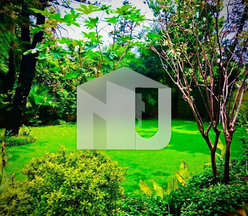 E-7 Beautiful House For Rent