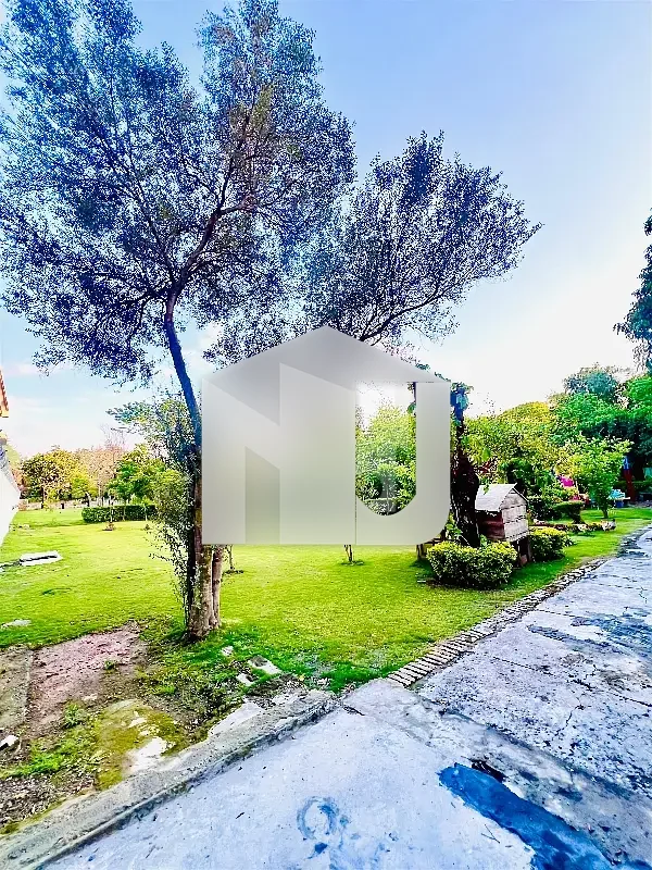 G-6 Beautiful Furnished House, photo 3