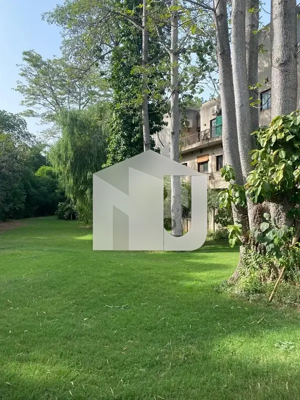 F-7 Ambassador Level House For Rent