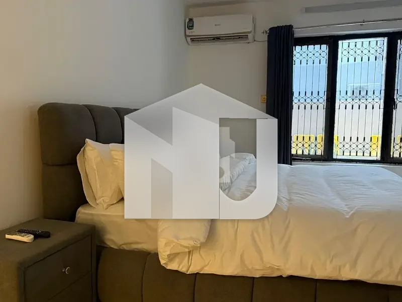 Luxury Fully Furnished House 2 Floors  9 Bedrooms Furnished House For Rent, photo 8