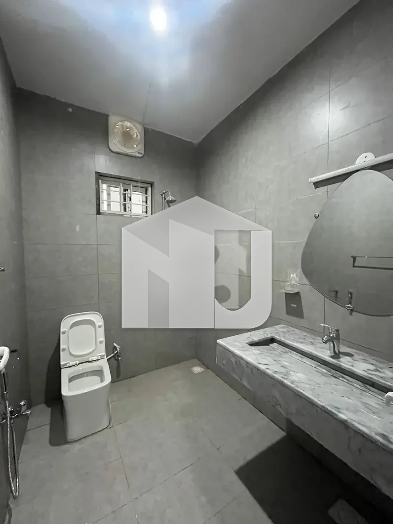 1 Kanal basement for rent