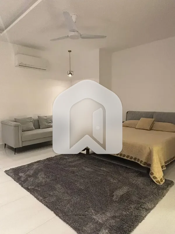 Brand New Fully Furnished Luxurious Lower Ground Portion With Natural Sunlight, photo 9