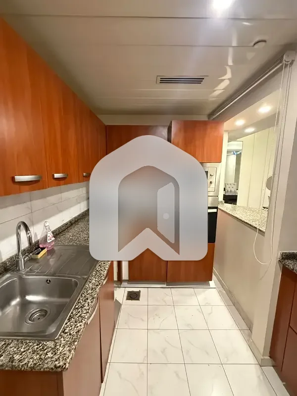 Fully Furnished Apartment For Rent In Centorus, photo 21