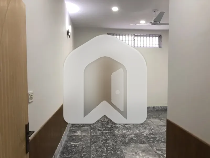 Open Besment for rent, photo 2