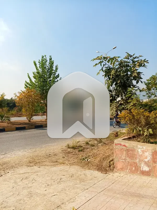 D-12 Islamabad 1 Kanal House For Rent 5 Bed With Washroom Drawing Room Dining Tv Lounge 2 Kitchen Servant Room Parking Gas Electric, photo 30