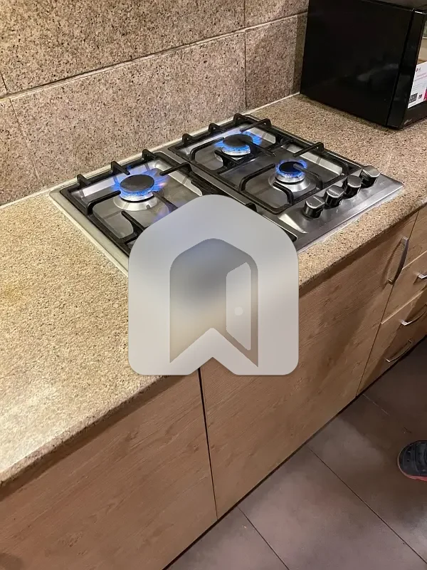 Fully Furnished Apartment Available For Rent, photo 5